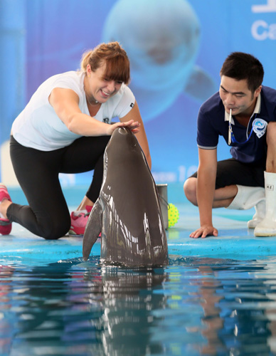 这可能是评 这可能是评