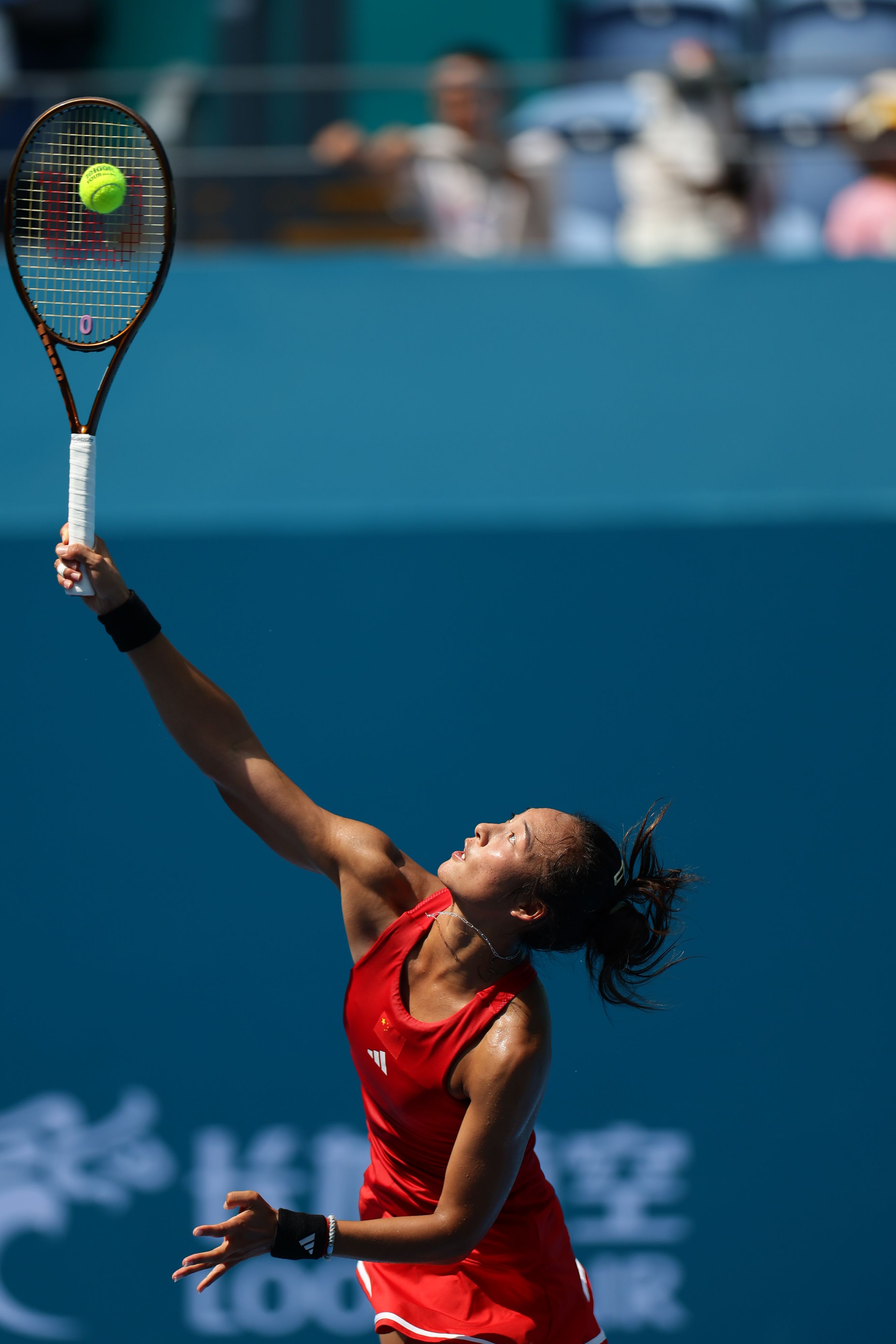 能与水晶宫 能与水晶宫