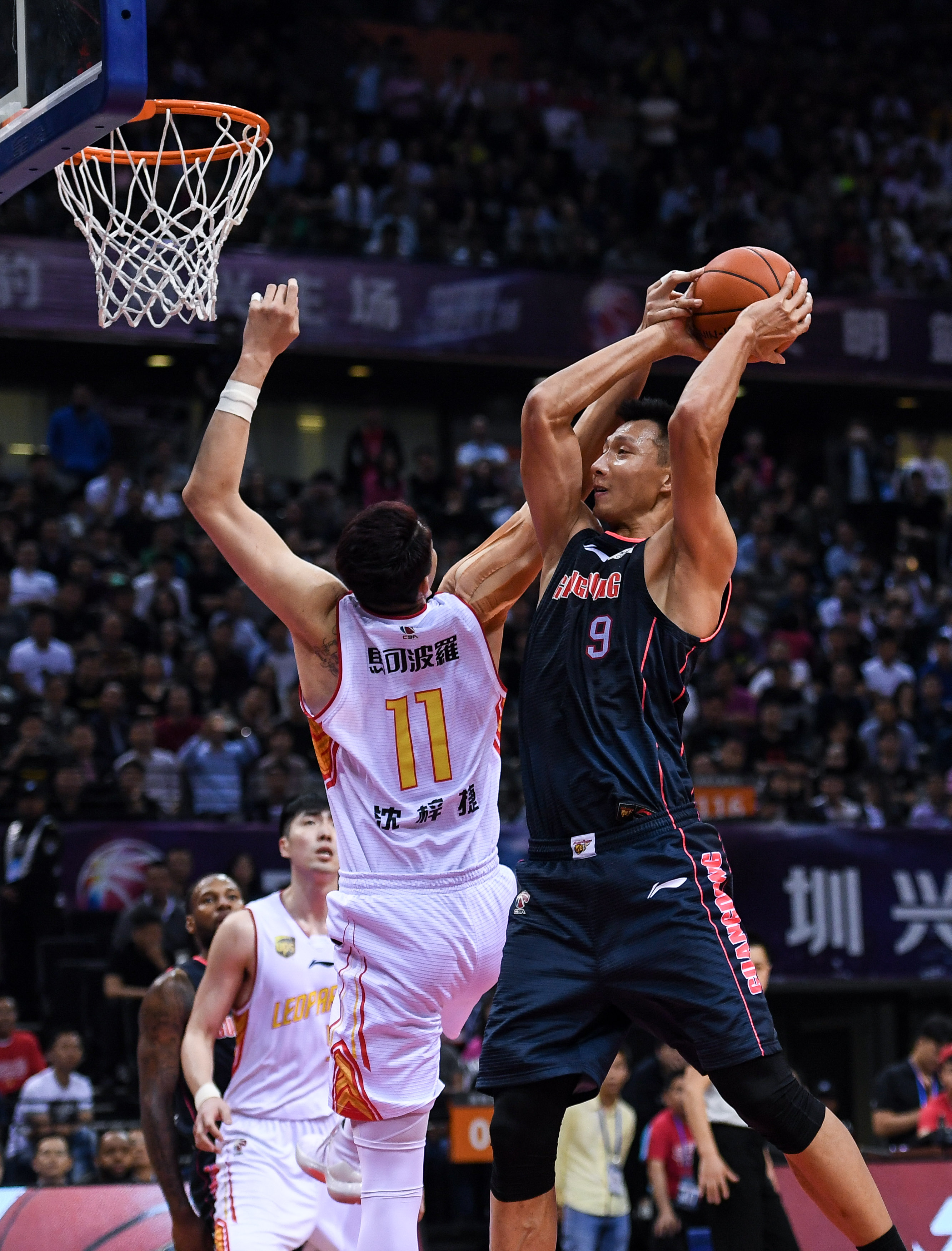 样本规律 样本规律